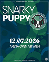 Snarky Puppy