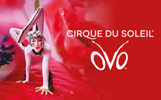 Cirque du Soleil