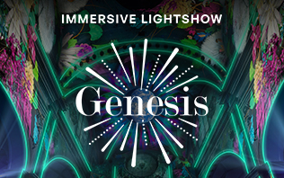GENESIS &ndash; Immersive Lightshow