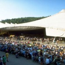 Festivalgel&auml;nde Wiesen