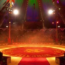 Zirkuszelt - Messegel&auml;nde Graz